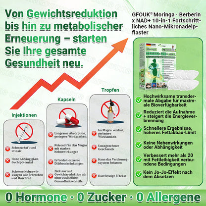 Offizieller Store 🇩🇪 |💝𝐆𝐅𝐎𝐔𝐊® Moringa · Berberin × NAD+ 10-in-1  Advanced Nano Mikronadel-Patch 🇩🇪 (Nur einmal täglich, sichtbare Veränderungen in 7 Tagen) ✅ Für Fettleibigkeit, schlaffe Haut, Diabetes, Schlafapnoe, Gelenkprobleme und mehr