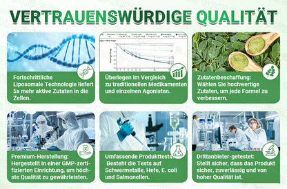 Offizieller Store 🇩🇪 |💝𝐆𝐅𝐎𝐔𝐊® Moringa · Berberin × NAD+ 10-in-1  Advanced Nano Mikronadel-Patch 🇩🇪 (Nur einmal täglich, sichtbare Veränderungen in 7 Tagen) ✅ Für Fettleibigkeit, schlaffe Haut, Diabetes, Schlafapnoe, Gelenkprobleme und mehr