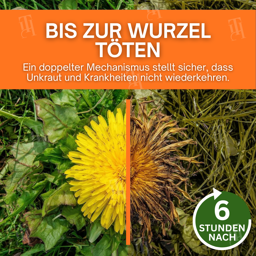 🌟 Offizieller Shop | AEXZR® 2-in-1 Max Leistung Herbizid