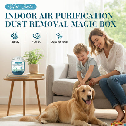 80%off🏆Indoor Luftreinigung Staub Entfernung Magic Box🌿✨ – Sicher für Kinder